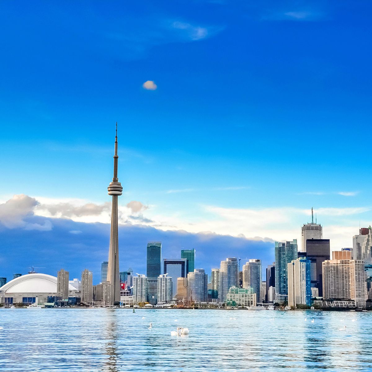 Préparation et matériel d’étude pour l’examen de citoyenneté